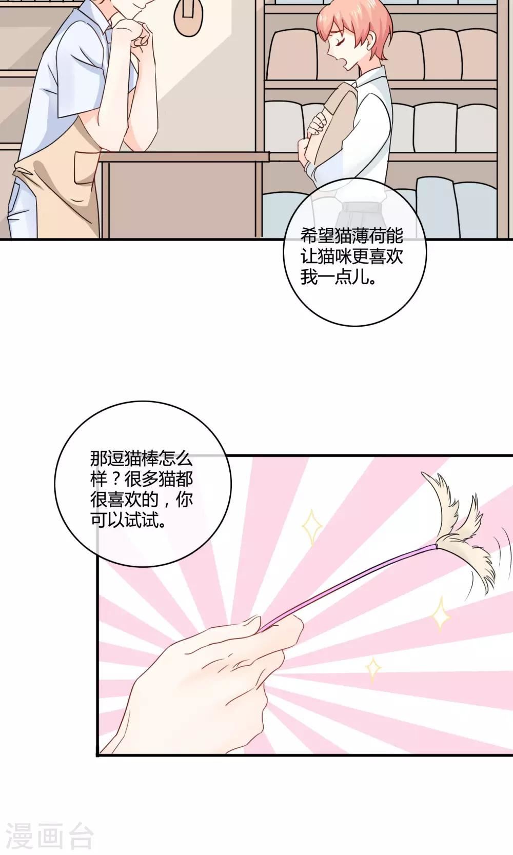 姻缘上上签漫画,第4话 诱猫计划5图