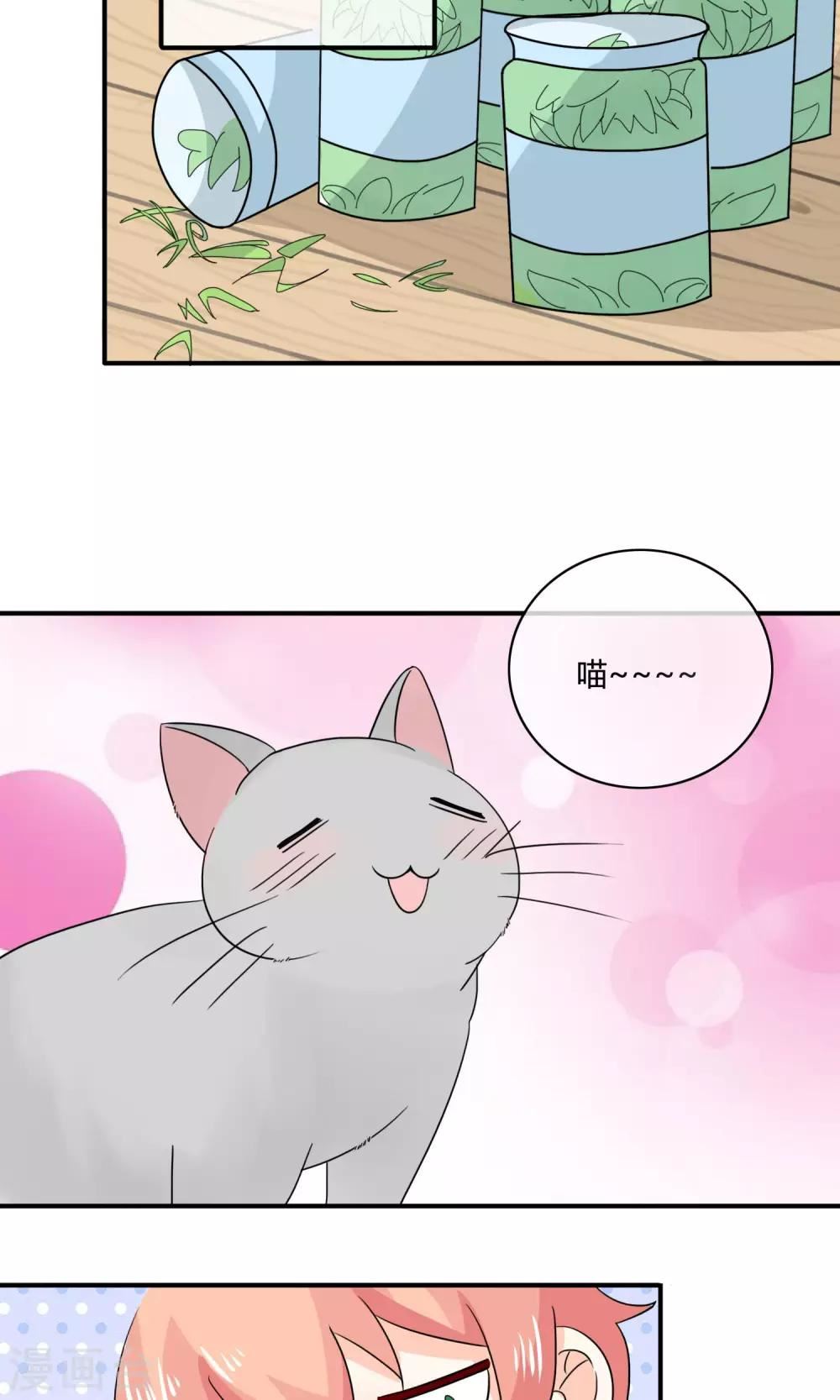 姻缘上上签漫画,第4话 诱猫计划8图