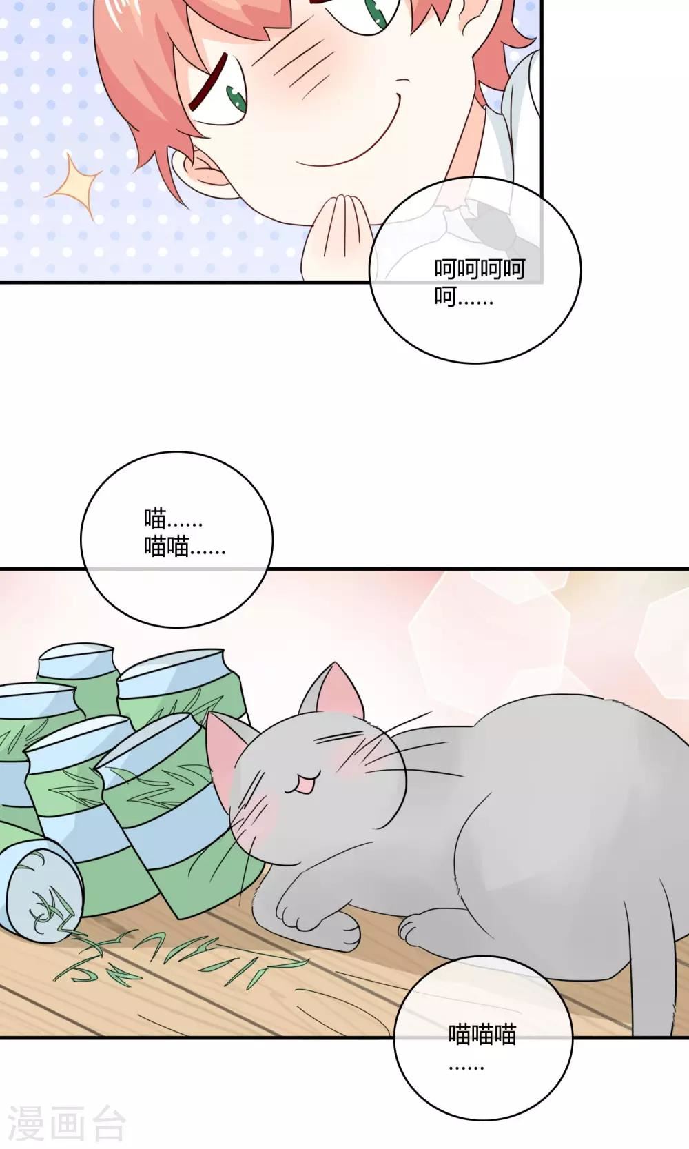 姻缘上上签漫画,第4话 诱猫计划9图