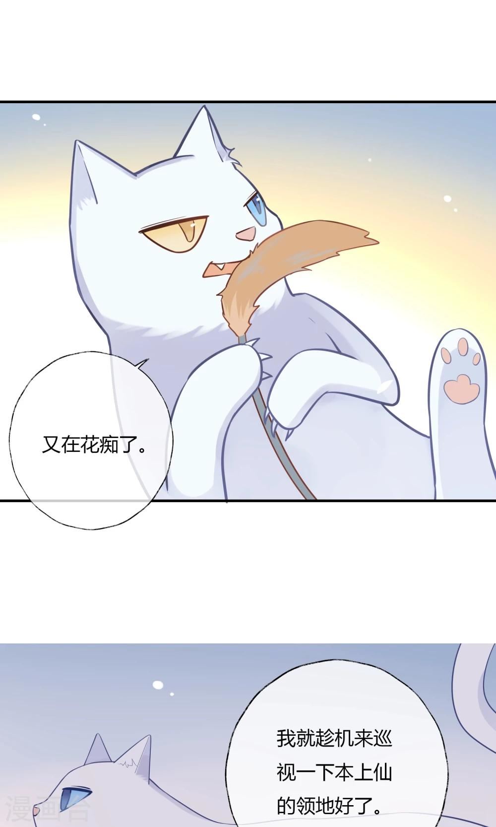 上仙请留步漫画,第9话 我家的猫咪会说话？！38图