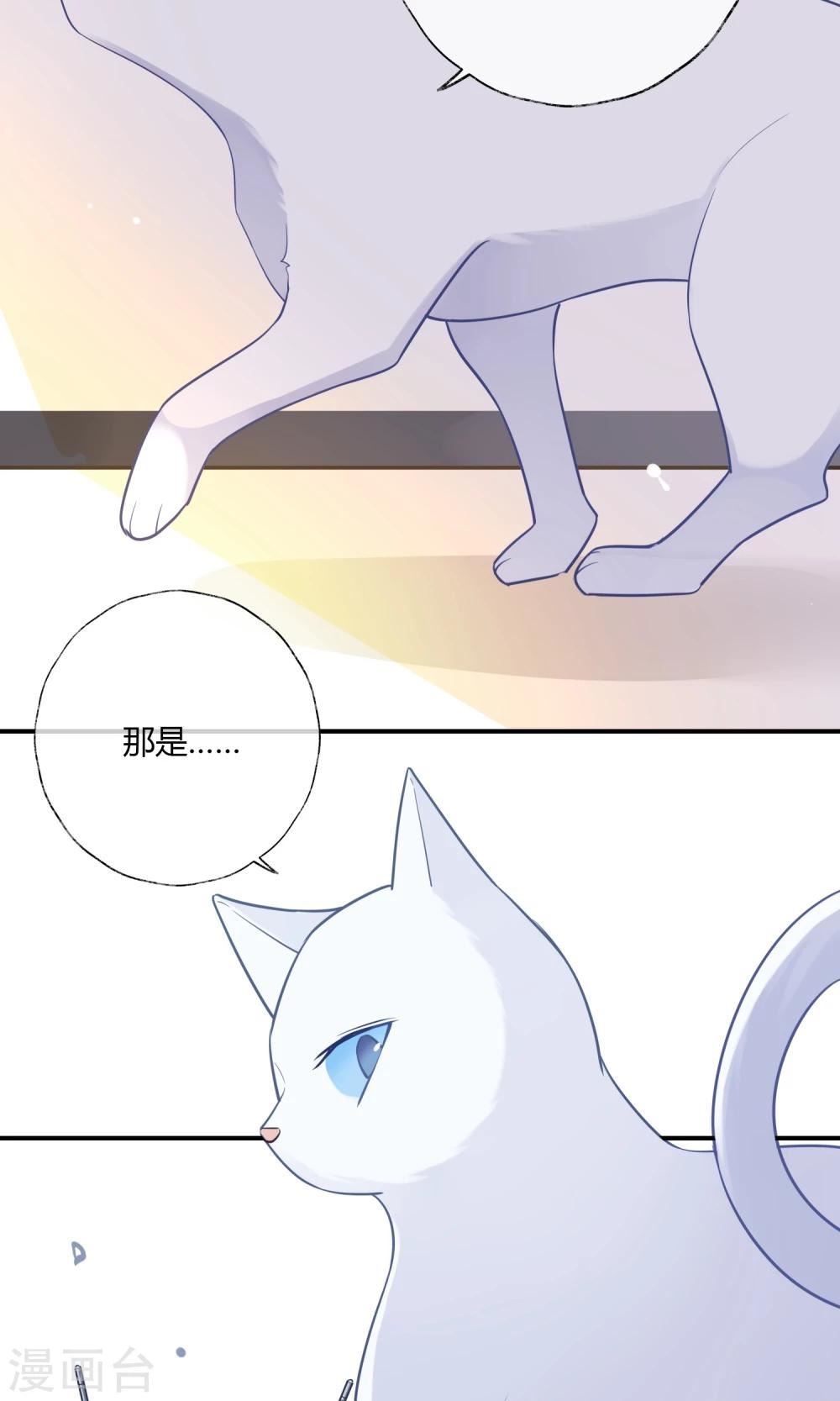 上仙请留步漫画,第9话 我家的猫咪会说话？！39图