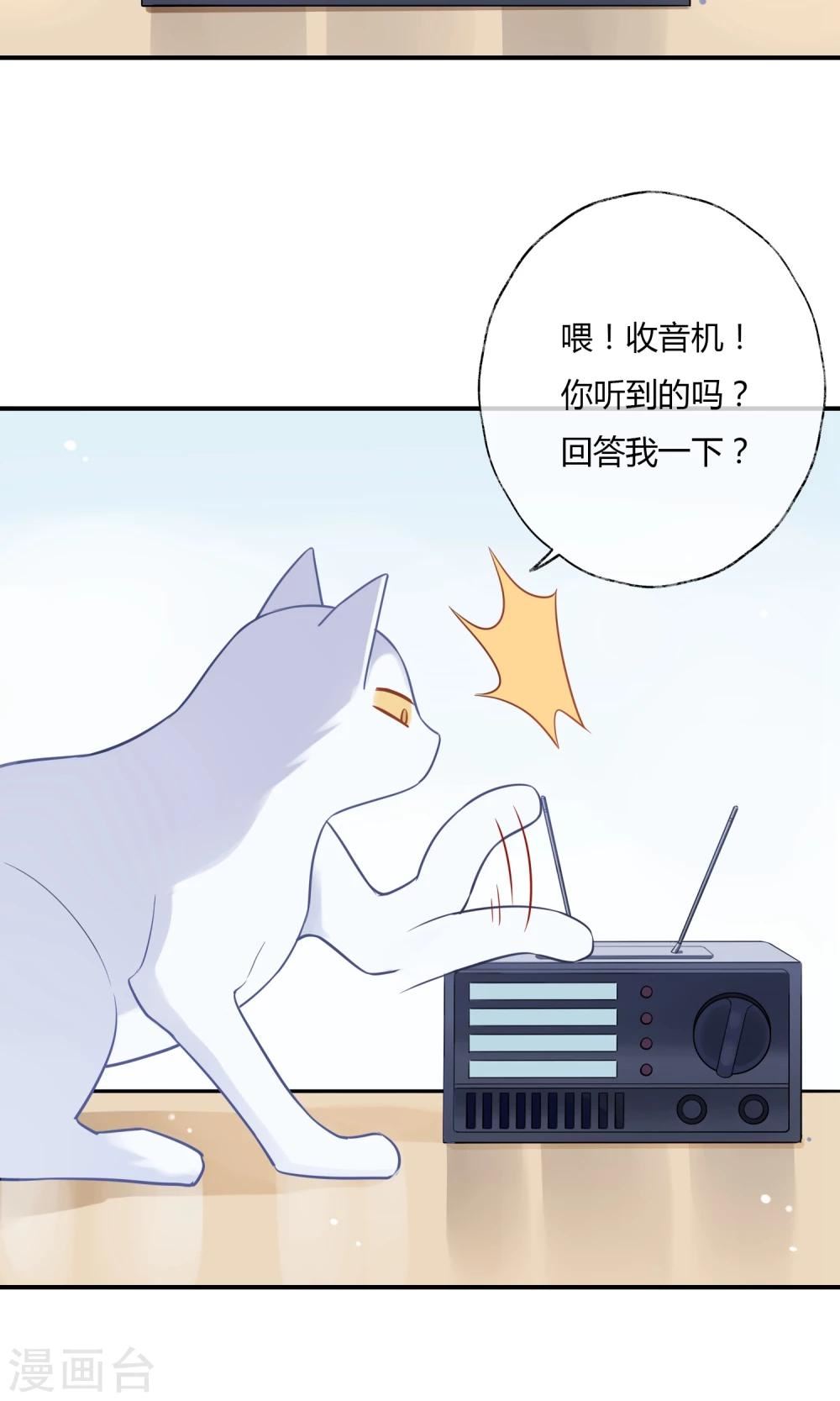 上仙请留步漫画,第9话 我家的猫咪会说话？！41图