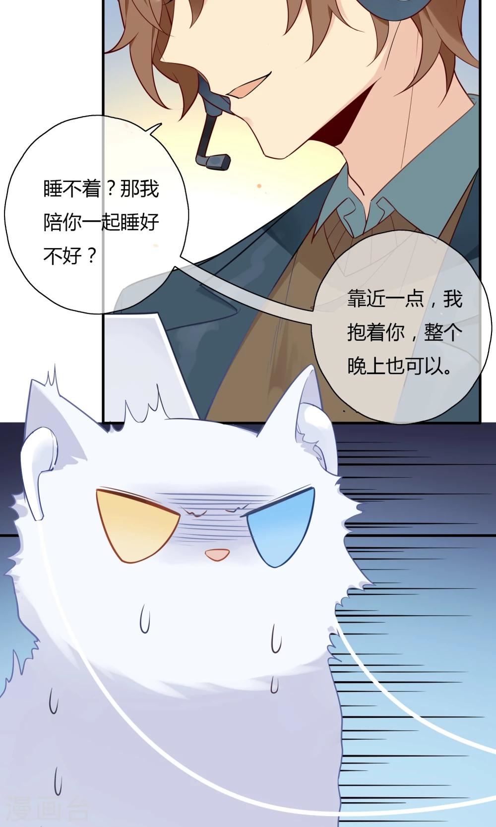 上仙请留步漫画,第9话 我家的猫咪会说话？！9图