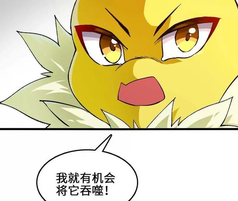 进化吧，铁皮蛹！漫画,第89话 古月儿出战50图