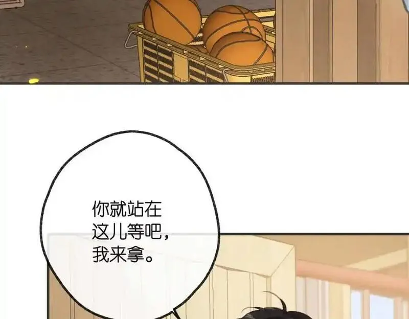 白日梦我沈倦林语惊漫画,第31话 道歉71图