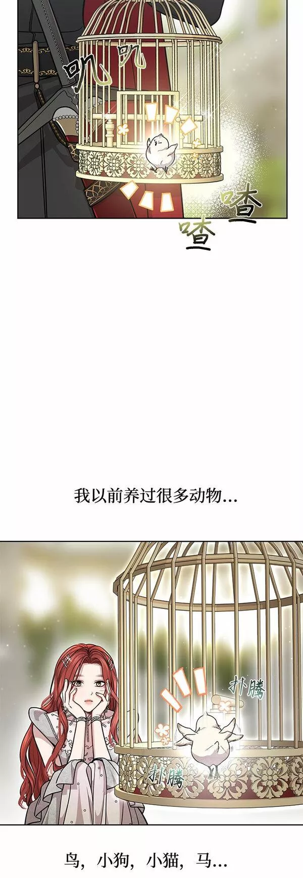 被弃公主的秘密房间漫画,[第22话] 幼鸟70图