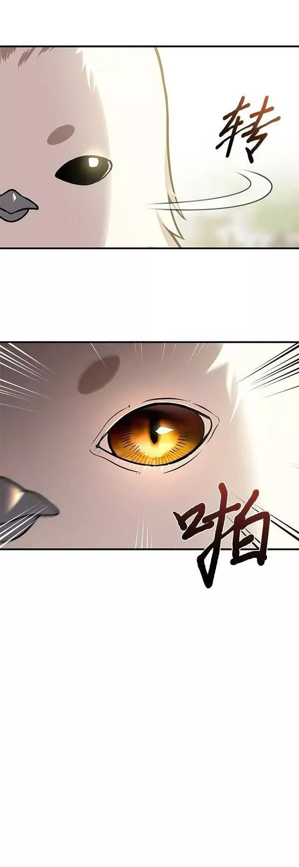 被弃公主的秘密房间漫画,[第44话] 荷鲁斯的训练50图