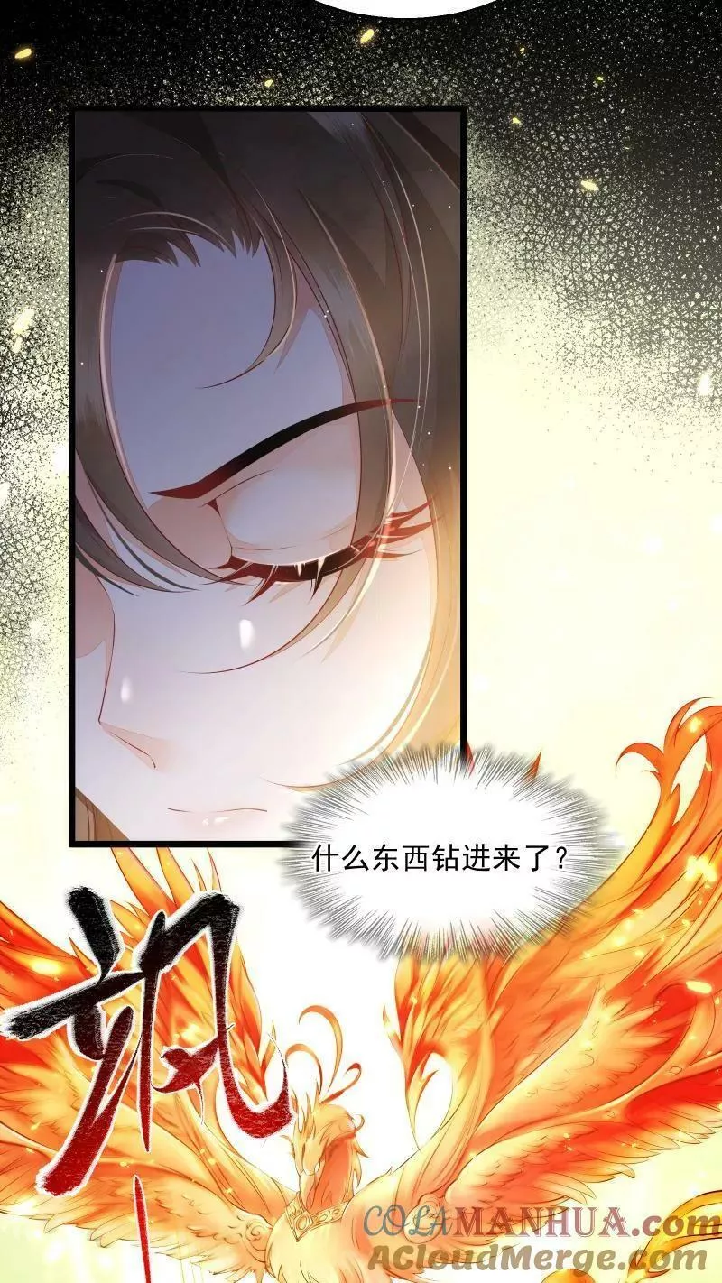 论反派摆烂的一百零八种方式漫画,第5话 这破鸟想当我主人13图