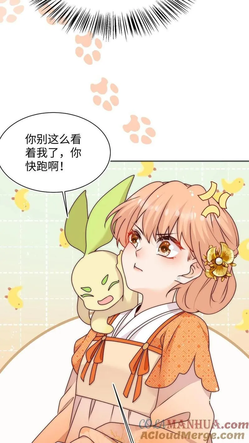 满门反派疯批，唯有师妹逗比漫画,第109话 急速大逃亡7图