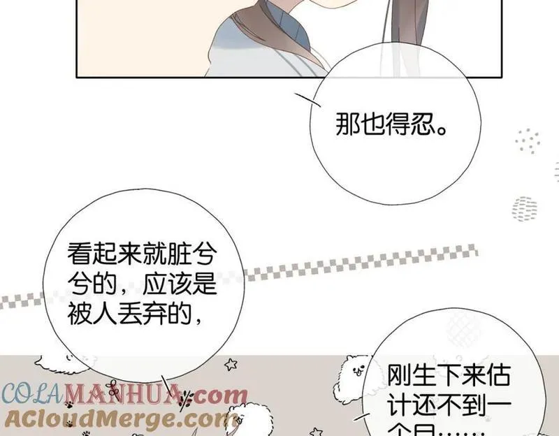 他那么撩全集漫画,第71话 小奶猫73图