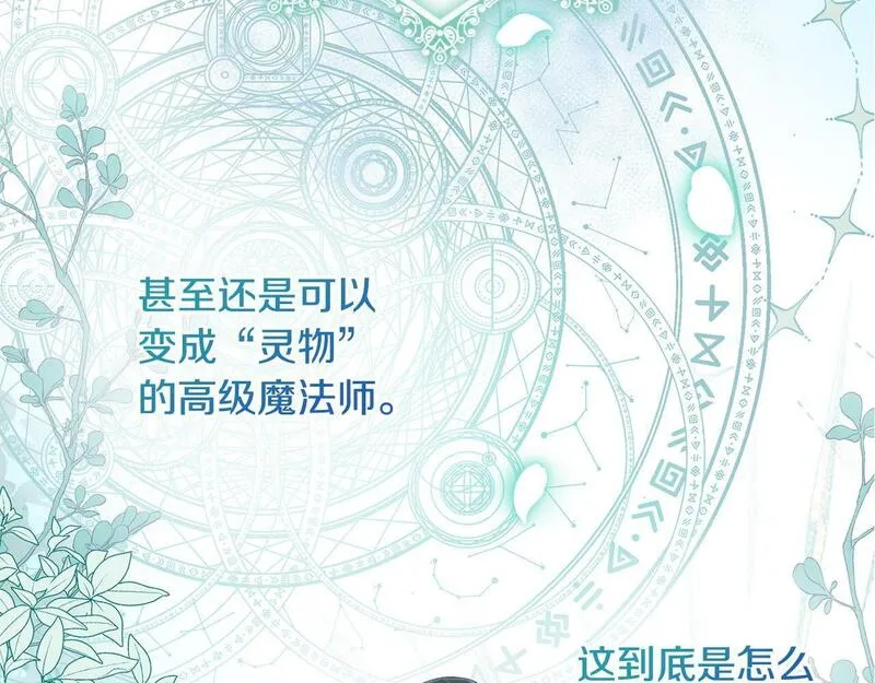 离婚后，前夫的皇位归我了漫画,第4话 魔法师的保护23图