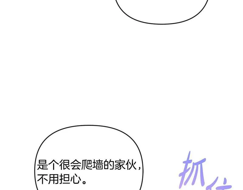 离婚后，前夫的皇位归我了漫画,第16话 几个消息64图