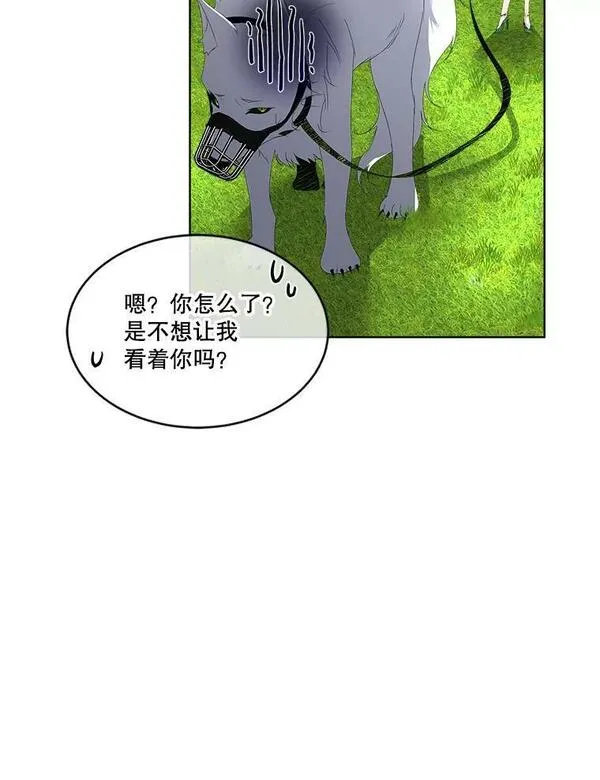 临时保护我方男主动漫免费阅读漫画,6.乌鸦23图