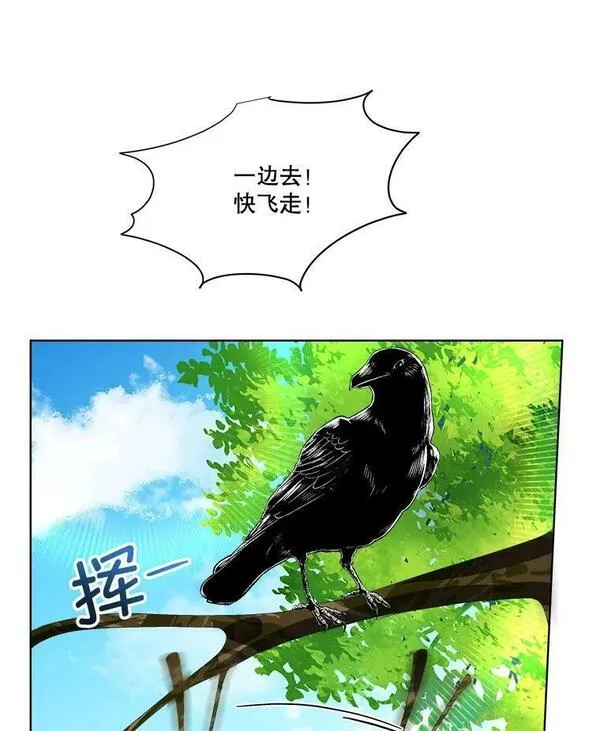 临时保护我方男主动漫免费阅读漫画,6.乌鸦42图