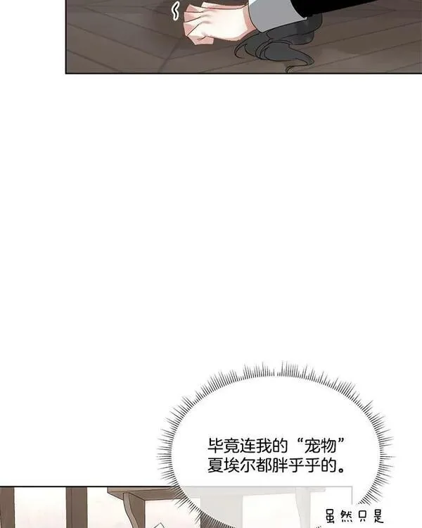 临时保护我方男主在哪里看漫画,17.女仆汉娜12图