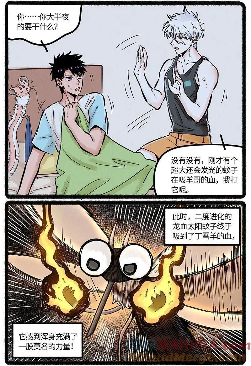 薛定谔之羊漫画,063 夏天的烦恼13图