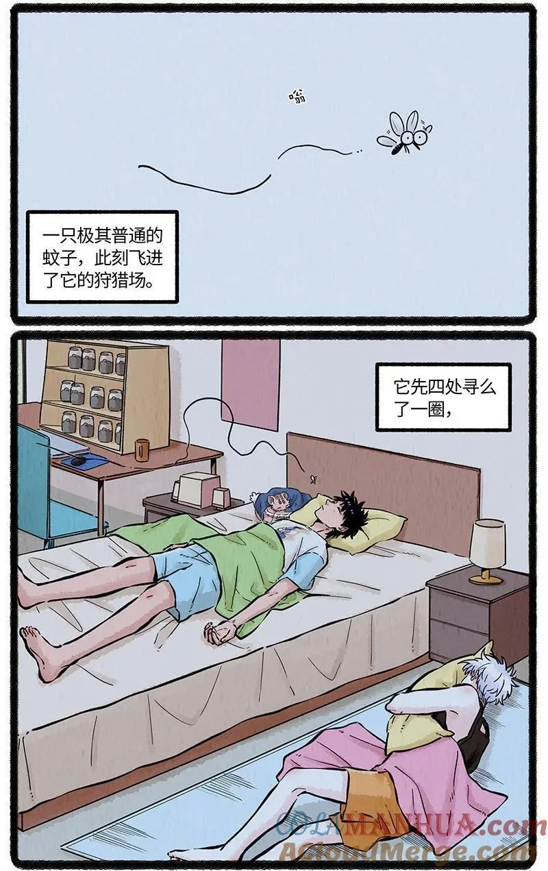 薛定谔之羊漫画,063 夏天的烦恼3图