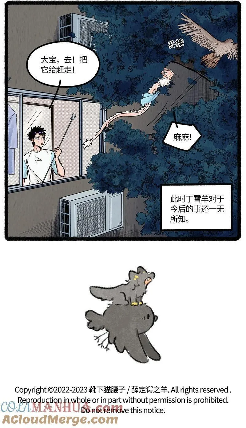 薛定谔之羊漫画,070 天机不可窥19图