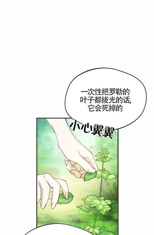 挑选丈夫时要慎重第8话漫画,第19话44图