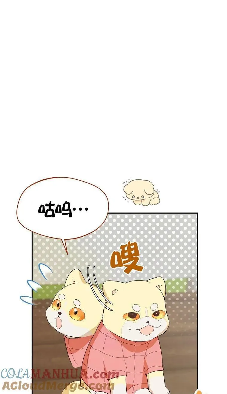 选丈夫要看什么漫画,第32话34图