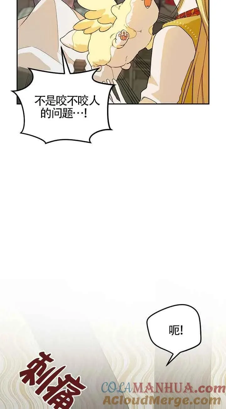 选丈夫要看什么漫画,第37话13图