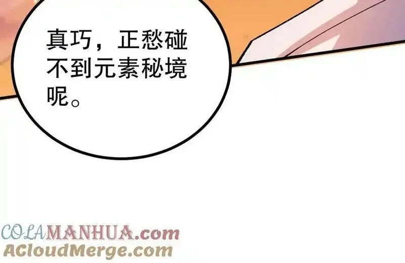 死灵法师！我即是天灾漫画,051话 进入元素秘境33图