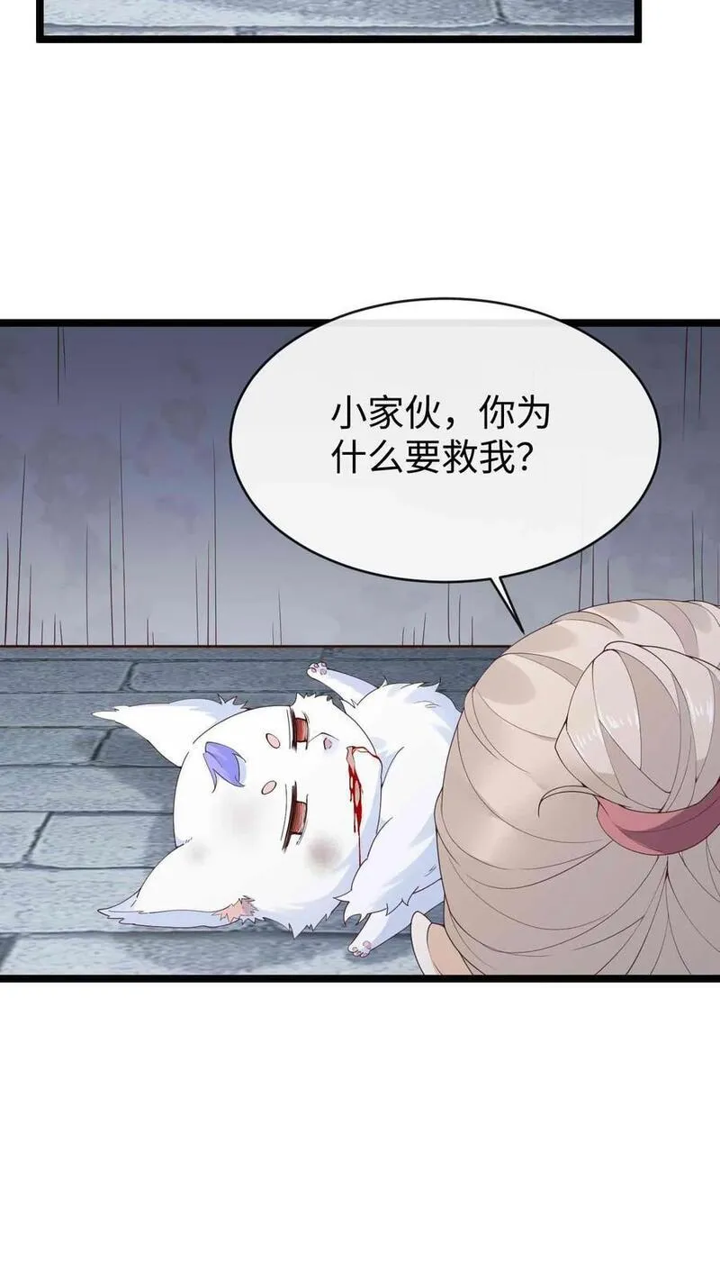 不断作死后，我成了万人迷帝尊漫画,第77话 南宫芷12图