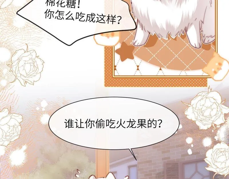 可爱过敏原无删减漫画,第13话 又踩坑了！14图