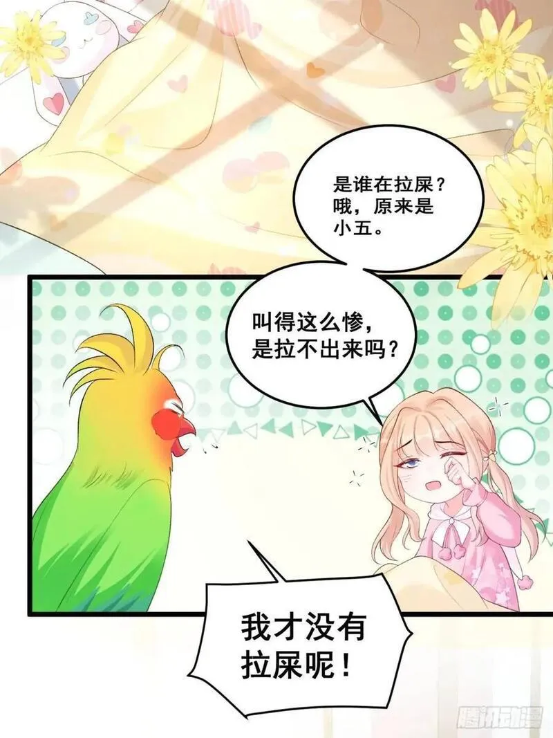 八个舅舅的团宠小福宝在线观看漫画,22 大舅舅的宠星4图