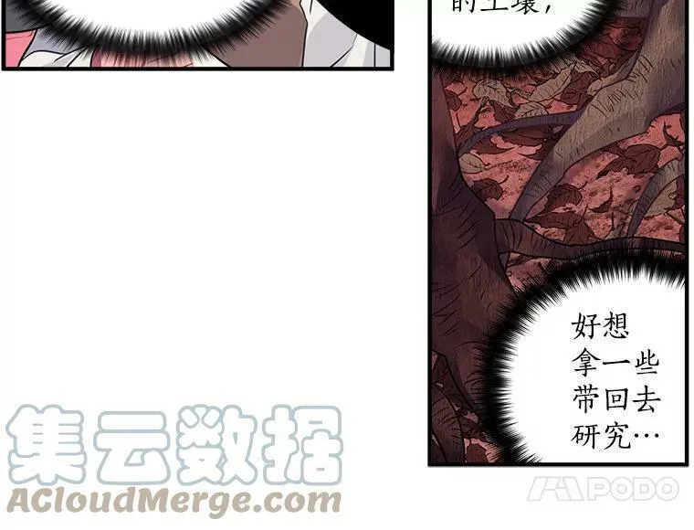 魔法狼少女漫画,12.你是我的伙伴52图