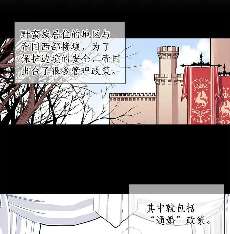 魔法狼少女漫画,15.开始彷徨的坚持29图