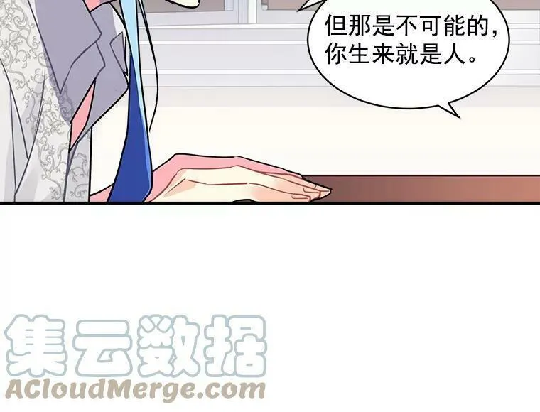 魔法狼少女漫画,17.剑士与魔法师82图