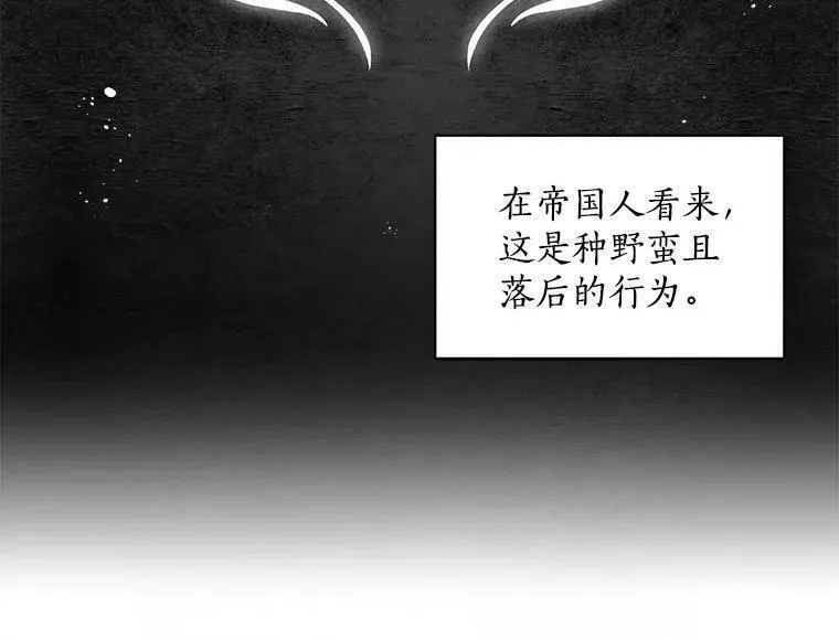 魔法狼少女漫画,17.剑士与魔法师38图