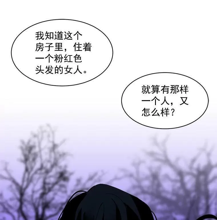 魔法狼少女漫画,39.谍影重重62图