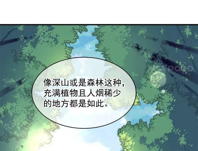 魔法狼少女漫画,41.暂时的告别56图