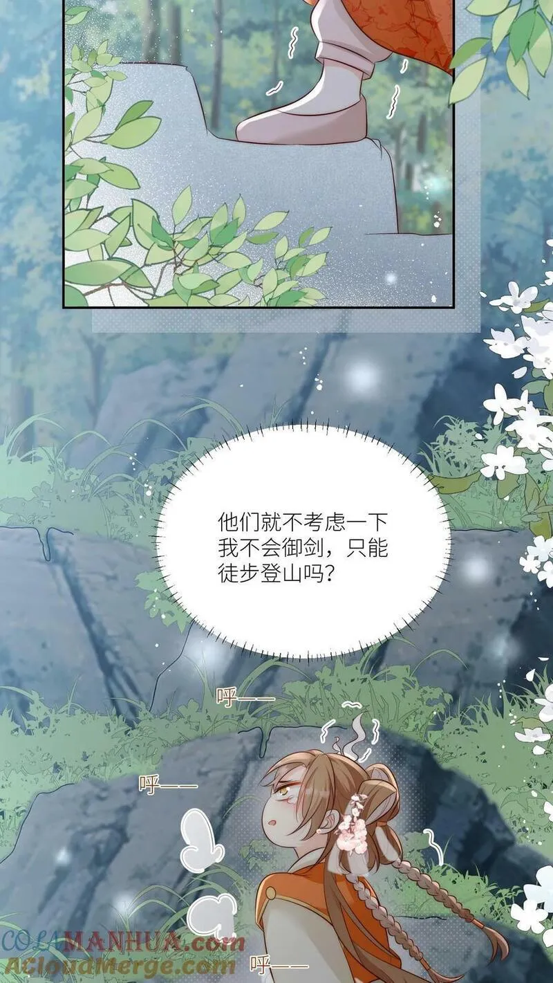 小师妹明明超强却过分沙雕漫画,第11话 我造了什么孽要去做亲传？13图