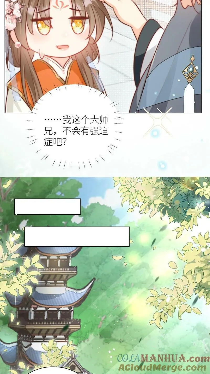 小师妹明明超强却过分沙雕漫画,第13话 大师兄有强迫症19图