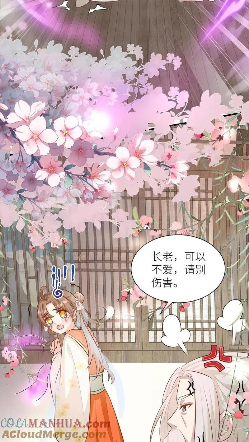 小师妹明明超强却过分沙雕漫画,第27话 可以不爱，请别伤害5图