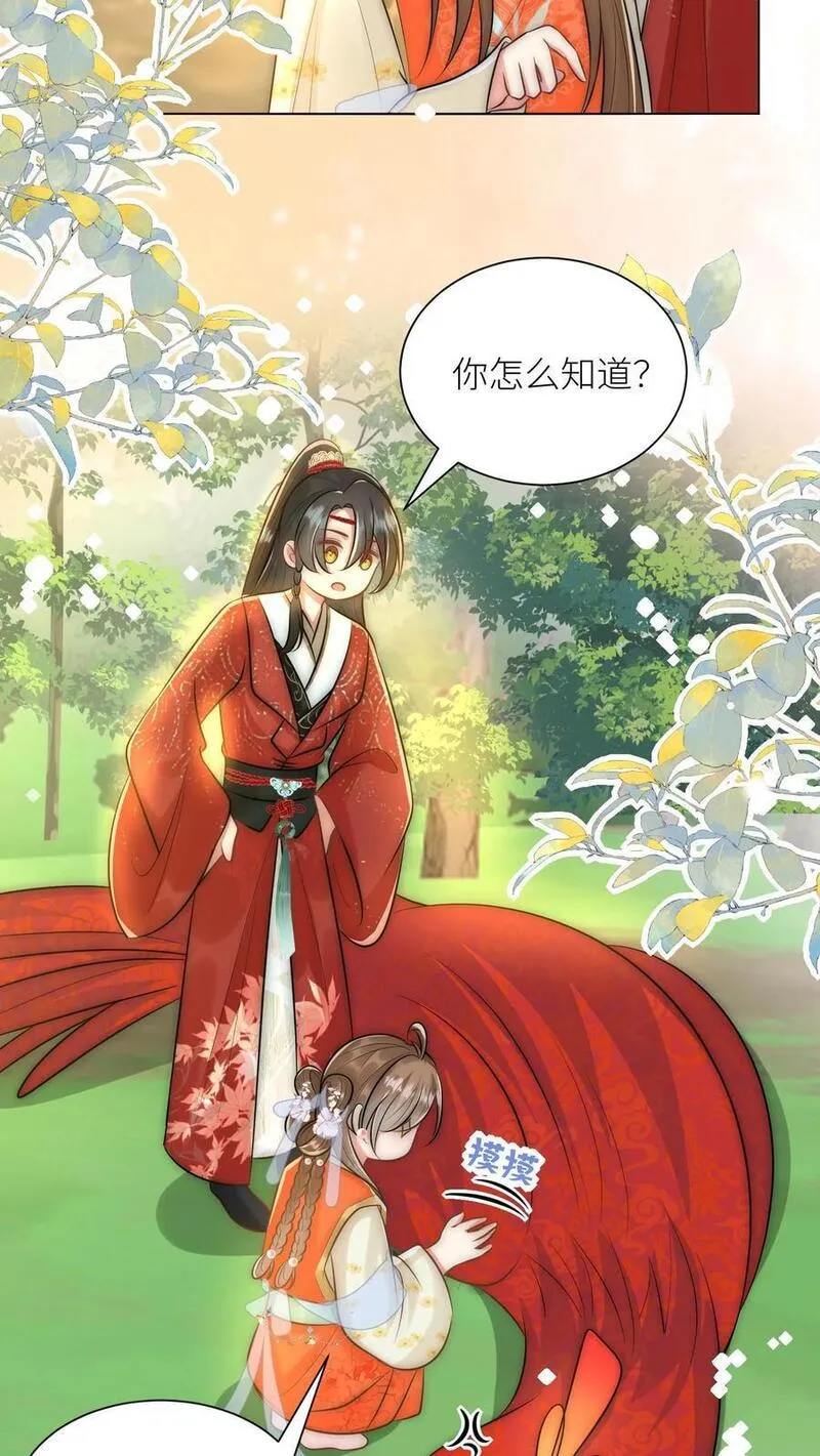 小师妹明明超强却过分沙雕漫画,第56话 卖妖兽的可持续发展计划20图