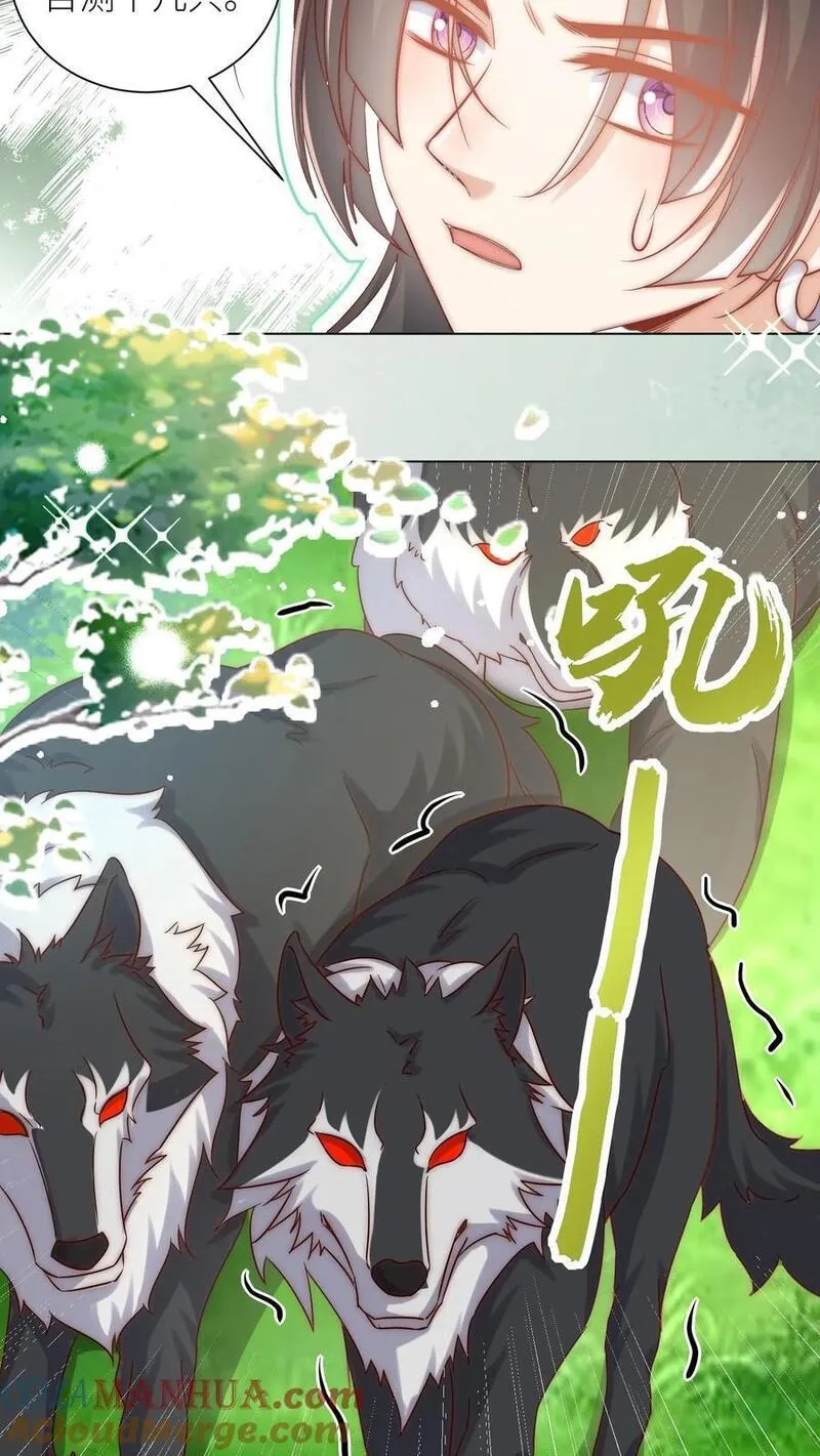 小师妹明明超强却过分沙雕漫画,第63话 从未被如此坚定地追求过9图