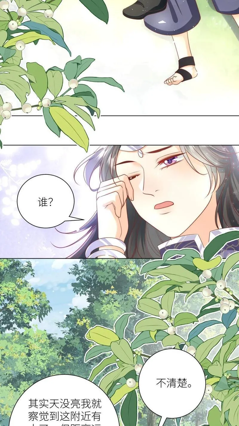 小师妹明明超强却过分沙雕漫画,第66话 好、好绿的宗门啊！4图