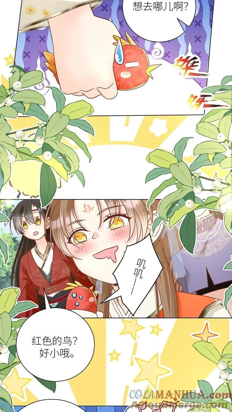 小师妹明明超强却过分沙雕漫画,第69话 晚餐烤火鸡预定19图