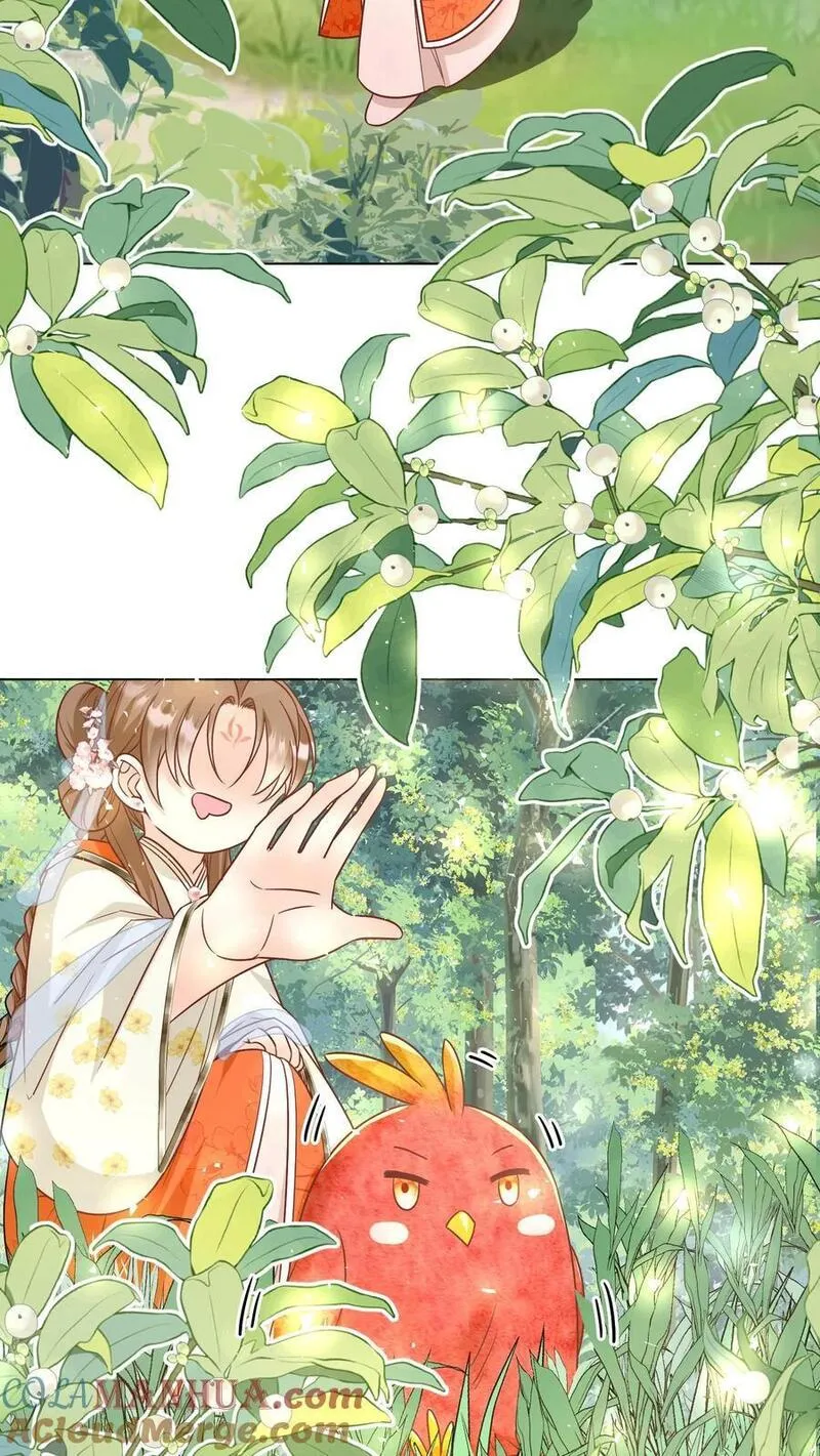 小师妹明明超强却过分沙雕漫画,第69话 晚餐烤火鸡预定17图