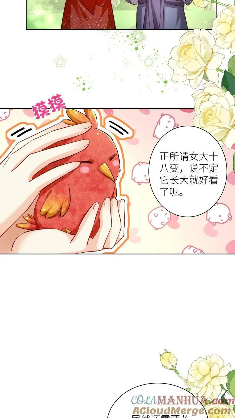 小师妹明明超强却过分沙雕漫画,第70话 鸡要养肥了再吃！17图