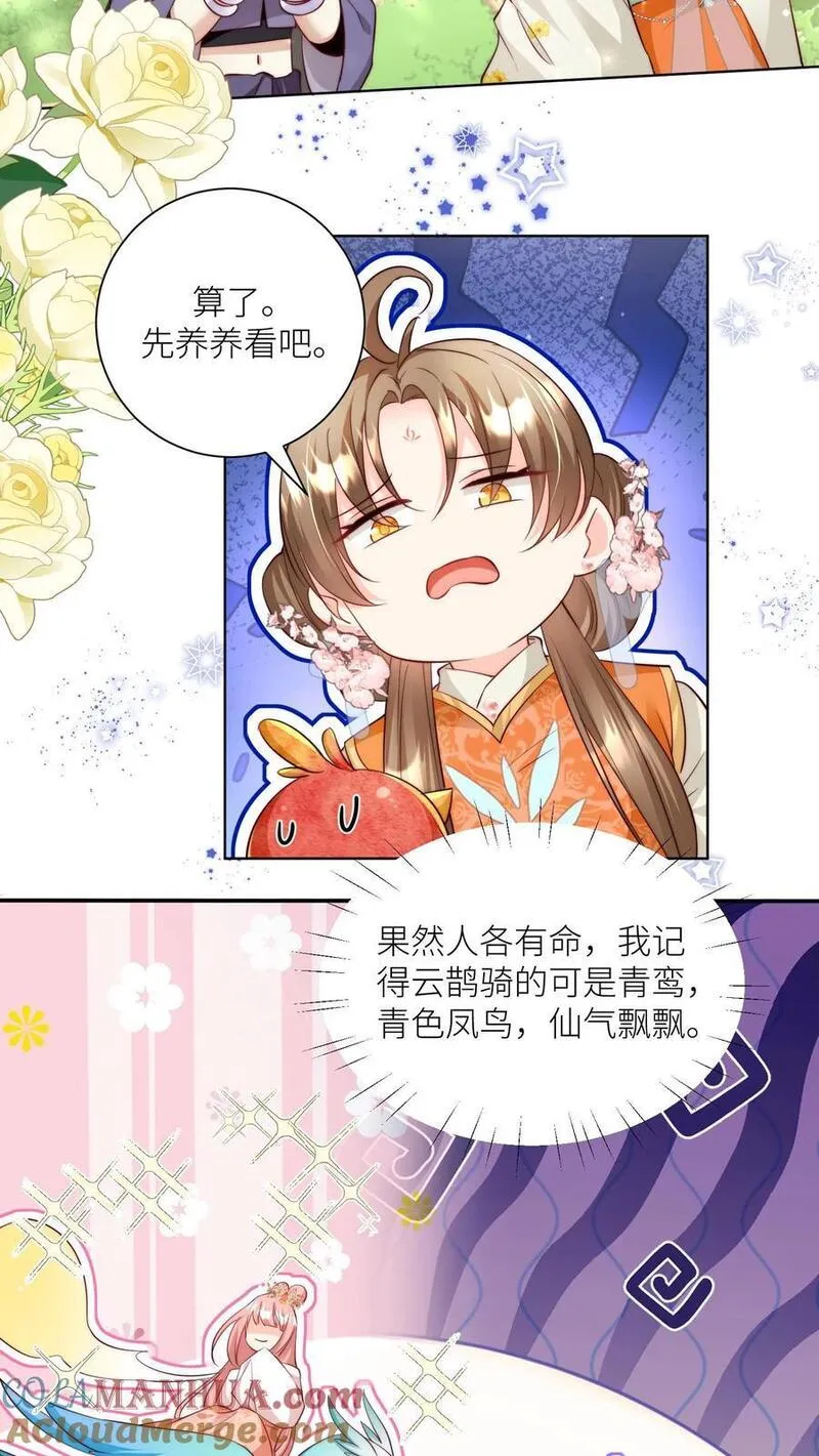 小师妹明明超强却过分沙雕漫画,第70话 鸡要养肥了再吃！15图