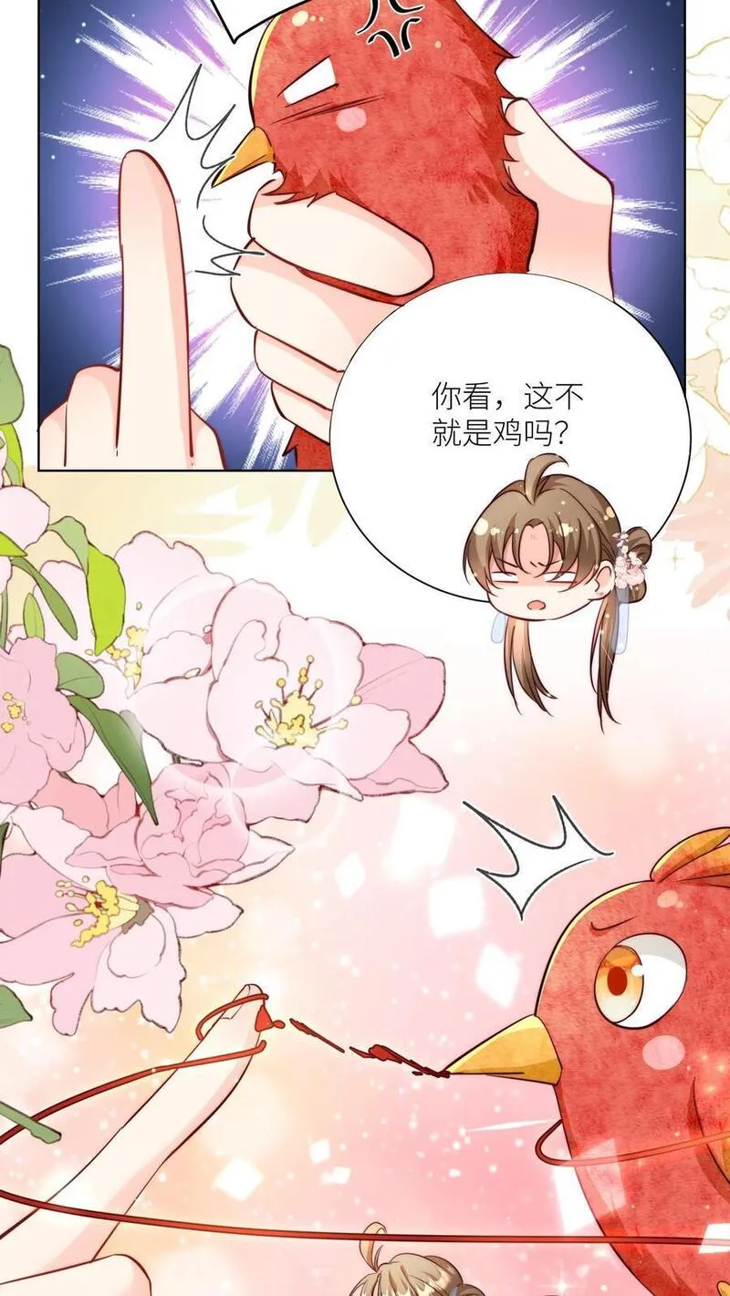 小师妹明明超强却过分沙雕漫画,第70话 鸡要养肥了再吃！4图