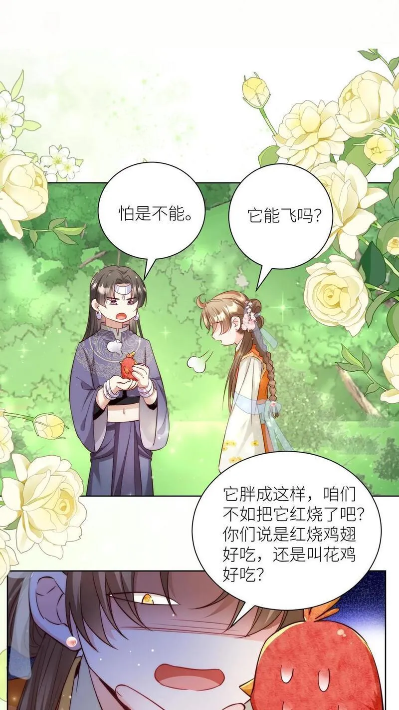 小师妹明明超强却过分沙雕漫画,第70话 鸡要养肥了再吃！12图