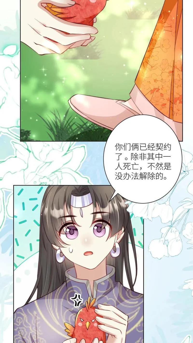 小师妹明明超强却过分沙雕漫画,第70话 鸡要养肥了再吃！10图