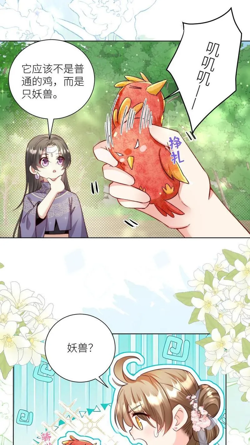 小师妹明明超强却过分沙雕漫画,第70话 鸡要养肥了再吃！2图