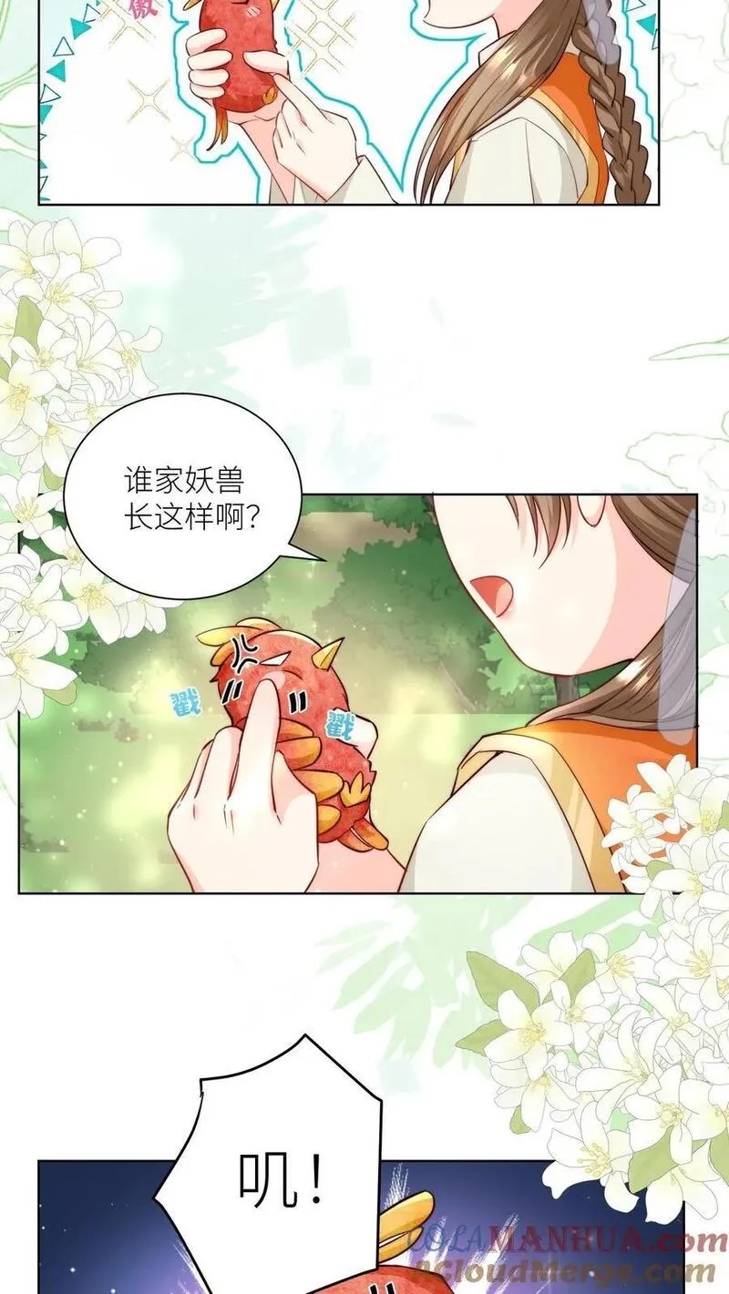 小师妹明明超强却过分沙雕漫画,第70话 鸡要养肥了再吃！3图